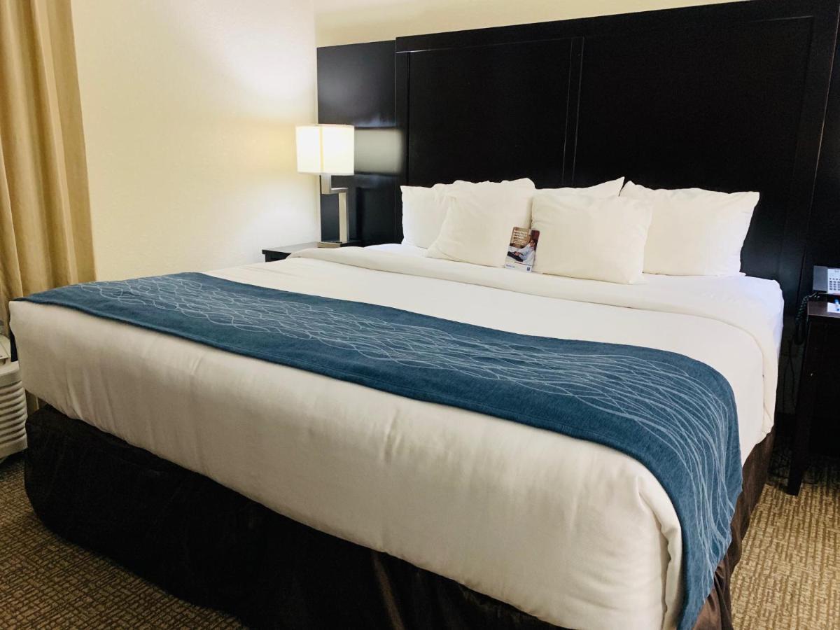 Comfort Inn & Suites Atlanta-Smyrna Esterno foto